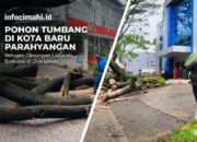Hujan Angin Terjang Kota Baru Parahyangan, Pohon Besar Tumbang di Depan Bank BCA dan Area Perkantoran