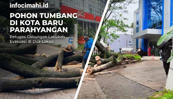 Hujan Angin Terjang Kota Baru Parahyangan, Pohon Besar Tumbang di Depan Bank BCA dan Area Perkantoran