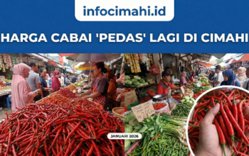 “Pedas” Lagi! Harga Cabai di Pasar Atas & Antri Tembus Rp 90.000, Imbas Jalur Distribusi Terputus